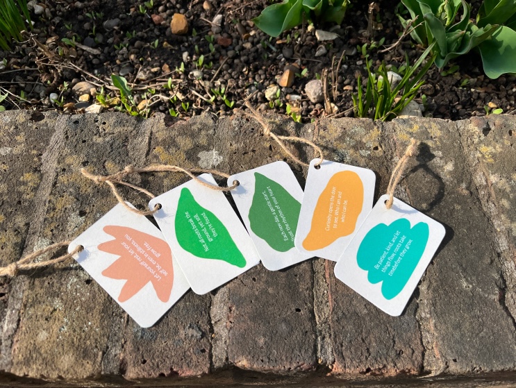 Curiosity Cards