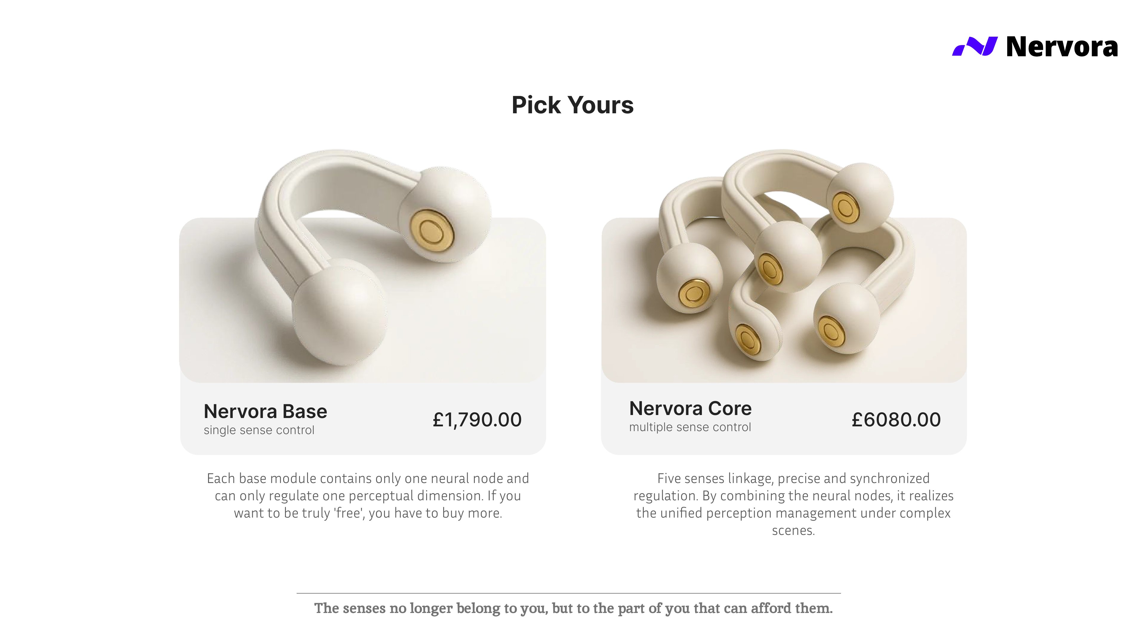 Nervora Branding 3